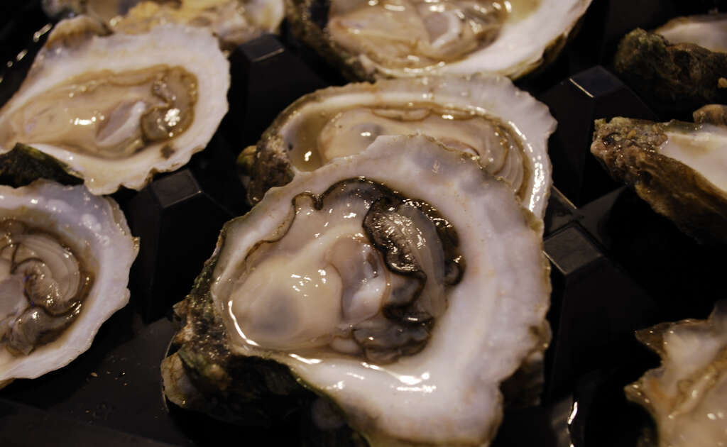Best Oyster Bars in America Where to Find the Best Raw Oysters Thrillist