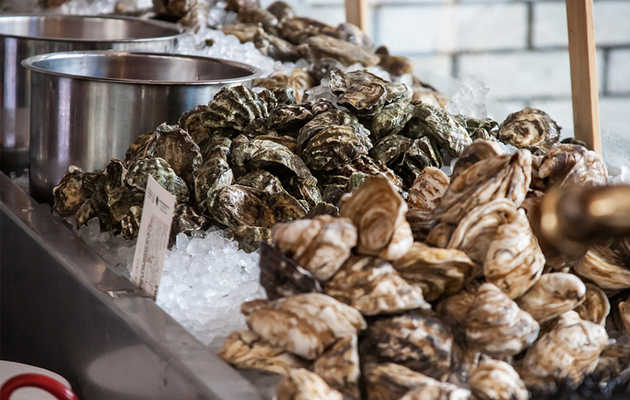 The 21 Best Oyster Bars in the Country