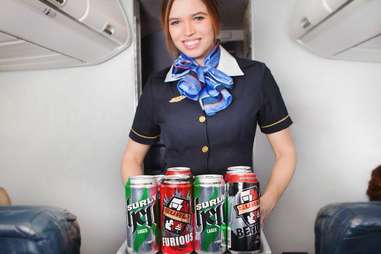 beer flight attendant