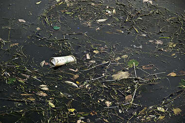 massive cholera epidemic
