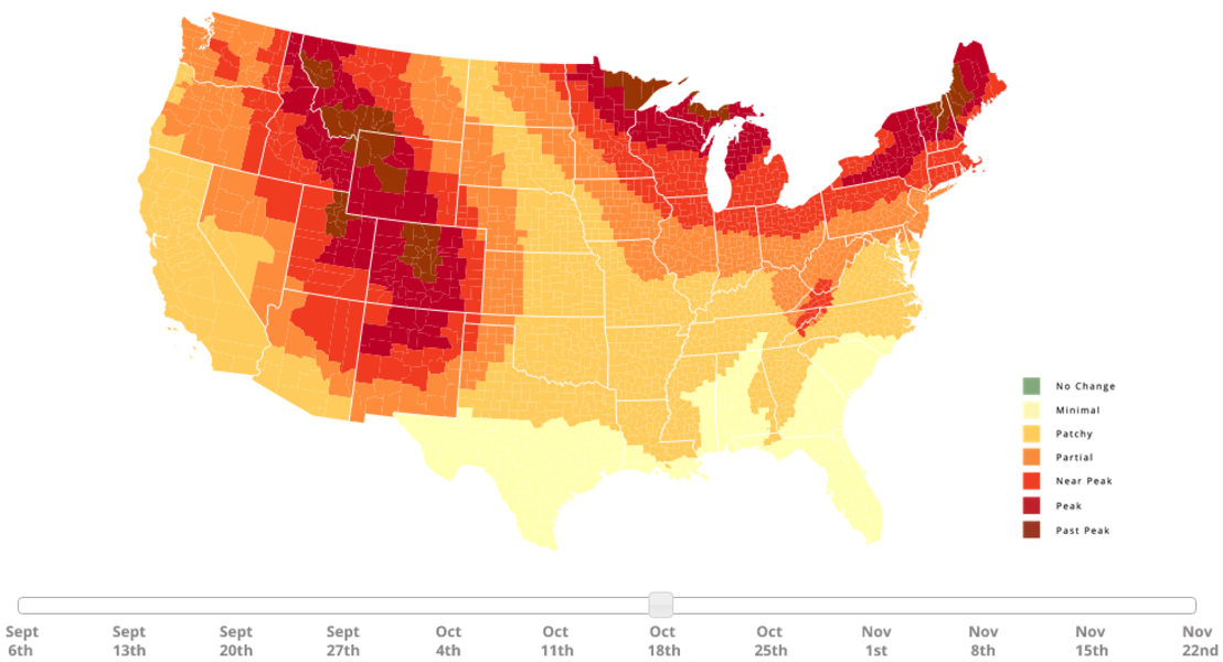 Leaf Peeping Map Find The Best Time For Fall Camping Thrillist