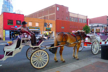 Horse carriage