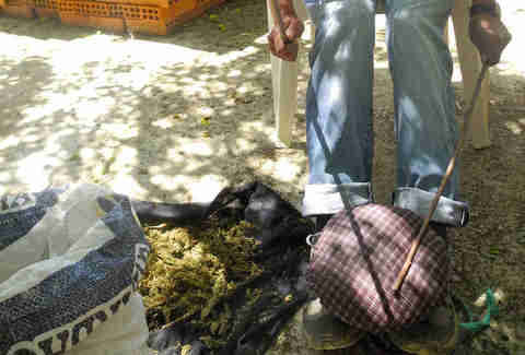 Moroccan Hash - Making Hash in Morocco Traditional Way - Thrillist