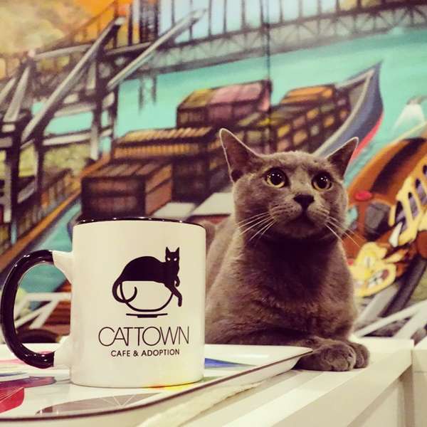 Cat Town Cafe: A Oakland, CA Bar - Thrillist