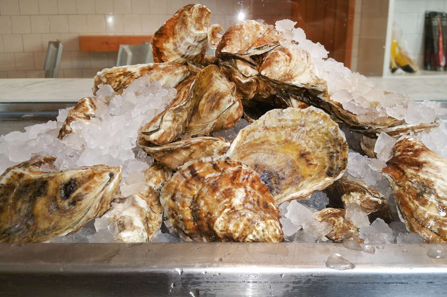 How to Shuck an Oyster Use a Shucking Knife Without Injuring Yourself Thrillist