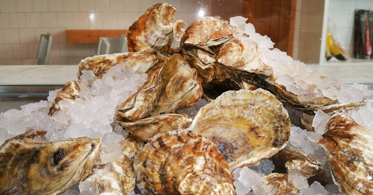 How To Quickly Shuck A Bunch Of Oysters - Food Republic