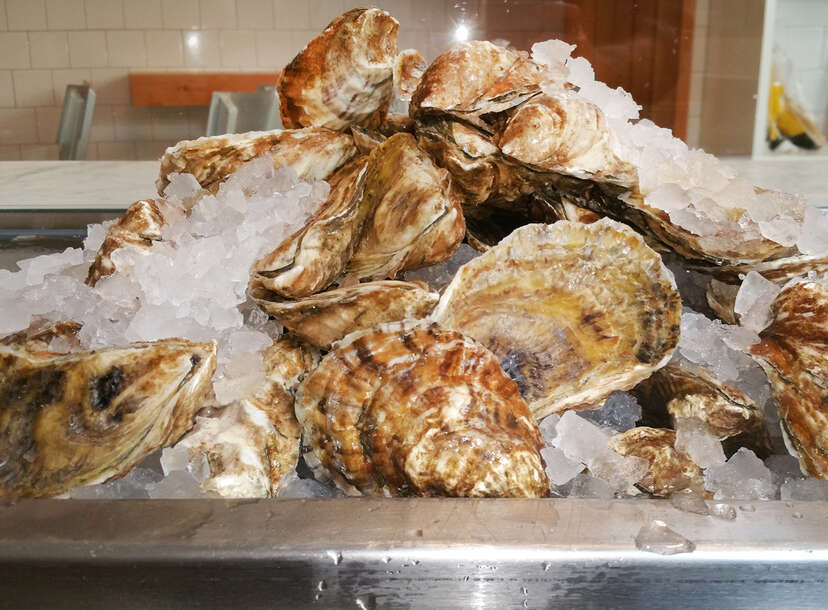 How to Shuck an Oyster Without Hurting Yourself
