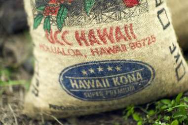 kona coffee