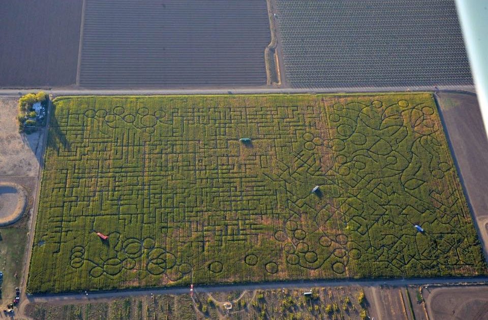 People call 911 over corn maze in Dixon, California Thrillist