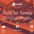 spotify time for turkey