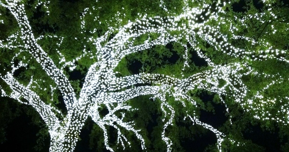 Things To Do In Houston In December Thrillist