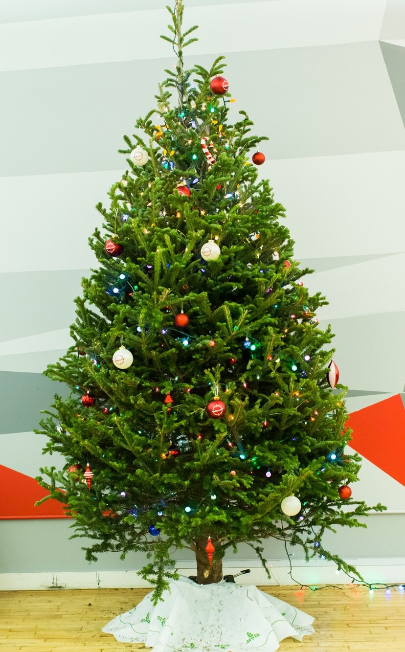 Tyler's Trees Christmas Tree Delivery Service NYC Thrillist