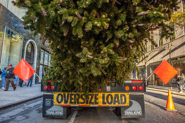 History of the Rockefeller Christmas Tree NYC