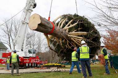 History of the Rockefeller Christmas Tree NYC