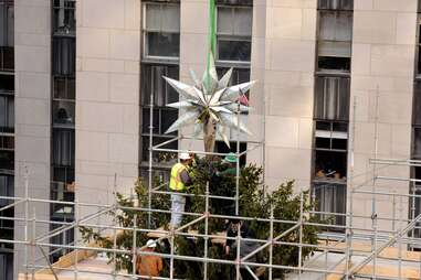 History of the Rockefeller Christmas Tree NYC