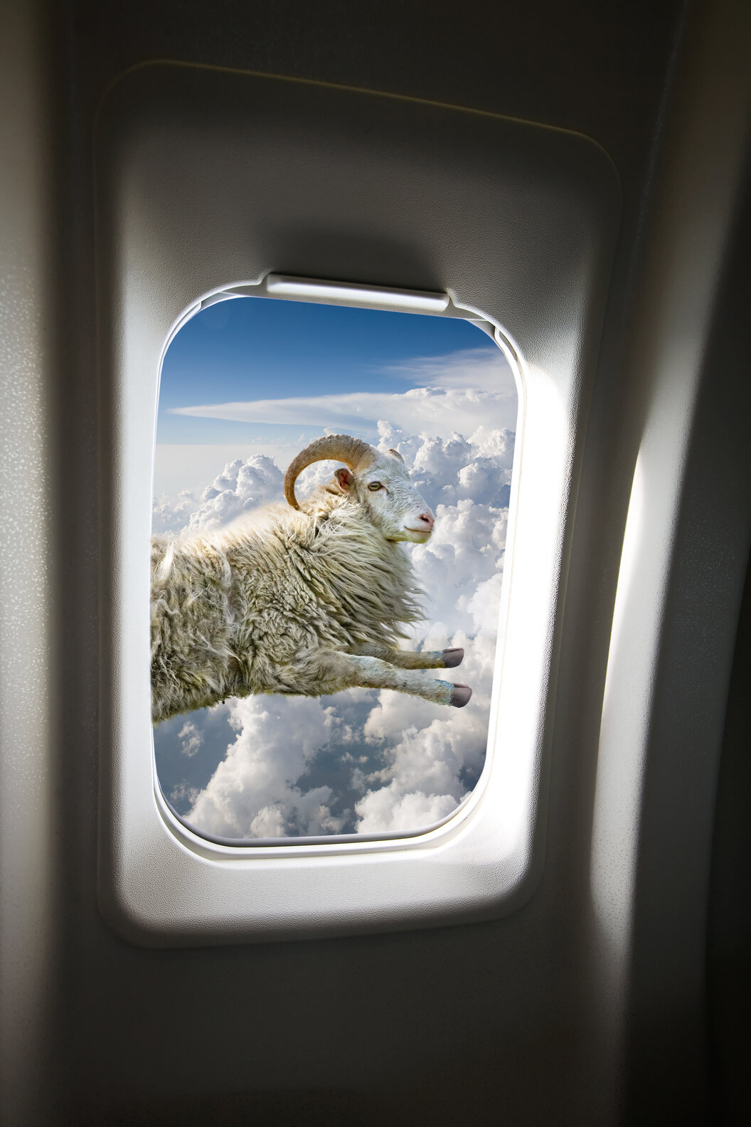 Stock Images About Flying -- 17 Ridiculous Photos About Planes - Thrillist
