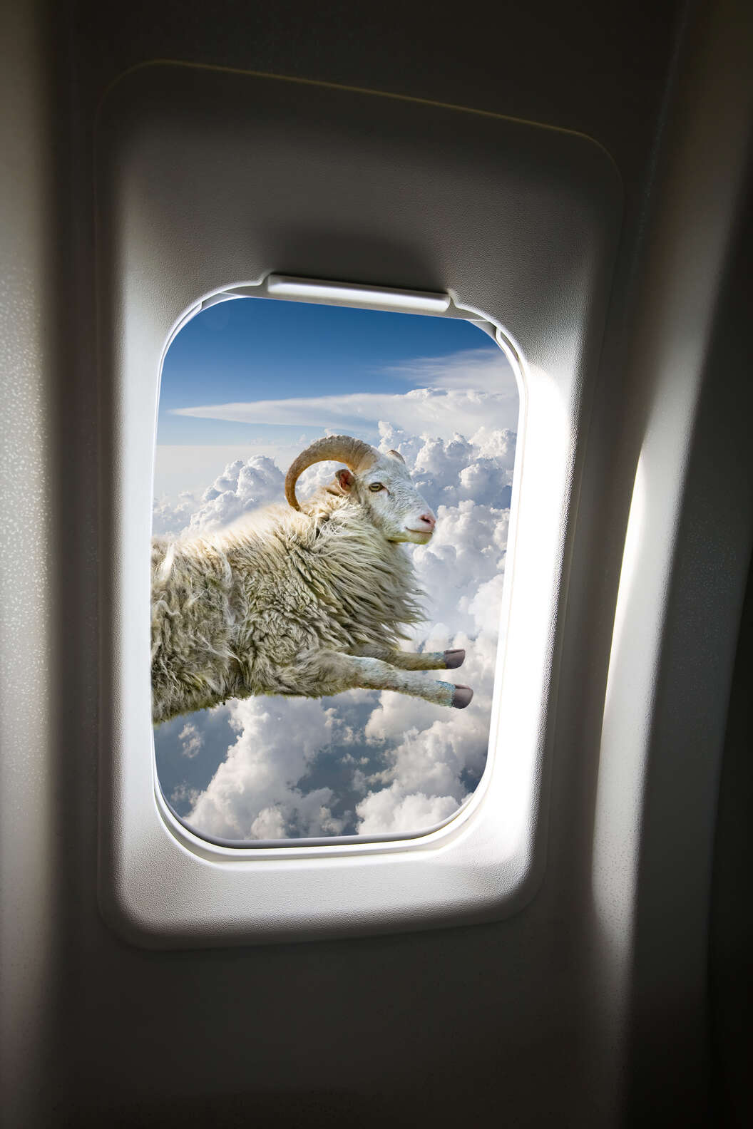 Flying Crap Stock Images About Flying -- 17 Ridiculous Photos About Planes - Thrillist
