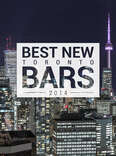 Toronto's 12 best new bars of the year