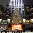 18 things you didn't know about the Rockefeller Center Christmas Tree