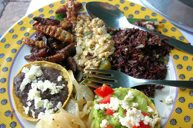 chapulines crickets tacos