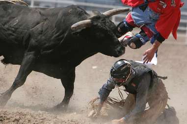 Cheyenne frontier days