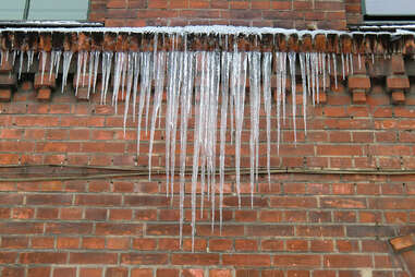 icicles