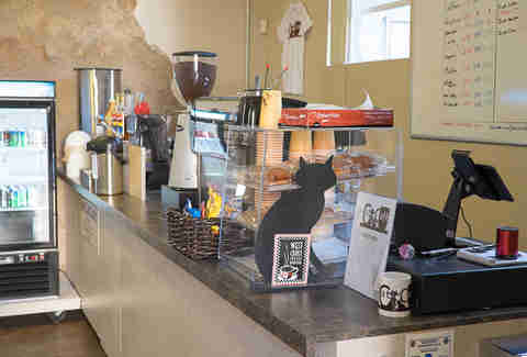  Cat  Cafe  San Diego Gaslamp Quarter Thrillist
