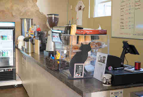 Cat Cafe San Diego Gaslamp Quarter Thrillist Cat Cafe San Diego Gaslamp Quarter Thrillist