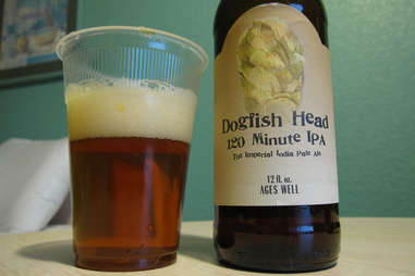 dogfish head ipa