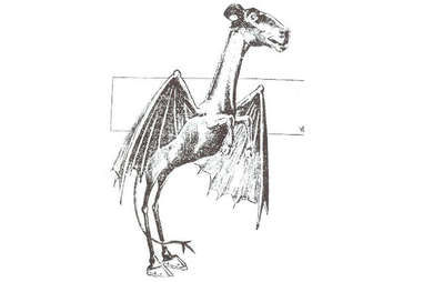 Jersey devil hot sale urban legend