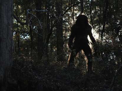 Bigfoot: The Pacific Northwest's Claim to Cryptid Fame