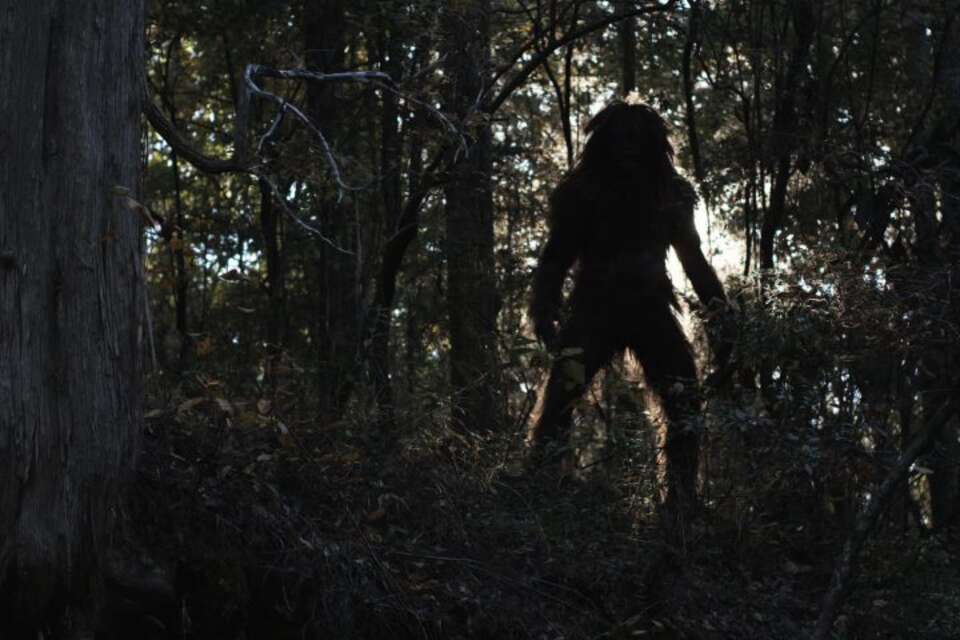 Category:Bigfoot - Wikimedia Commons