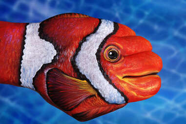Artist Turned Hands Into Animals - Guido Daniele NYC - Thrillist