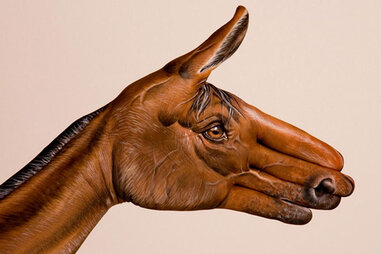 Artist Turned Hands Into Animals - Guido Daniele NYC - Thrillist