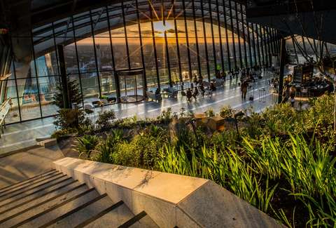 Garden,botanical gardens