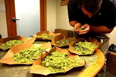 Hop selection