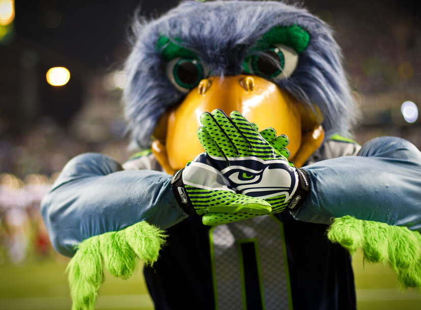 10 Seattle Seahawks Mascot - Blitz ideas