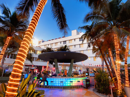 Things to do in Miami This February - Thrillist