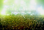 The Best Live Music Venues in Nashville - Thrillist