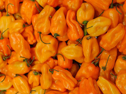 Why Do People Eat Spicy Food - Thrillist