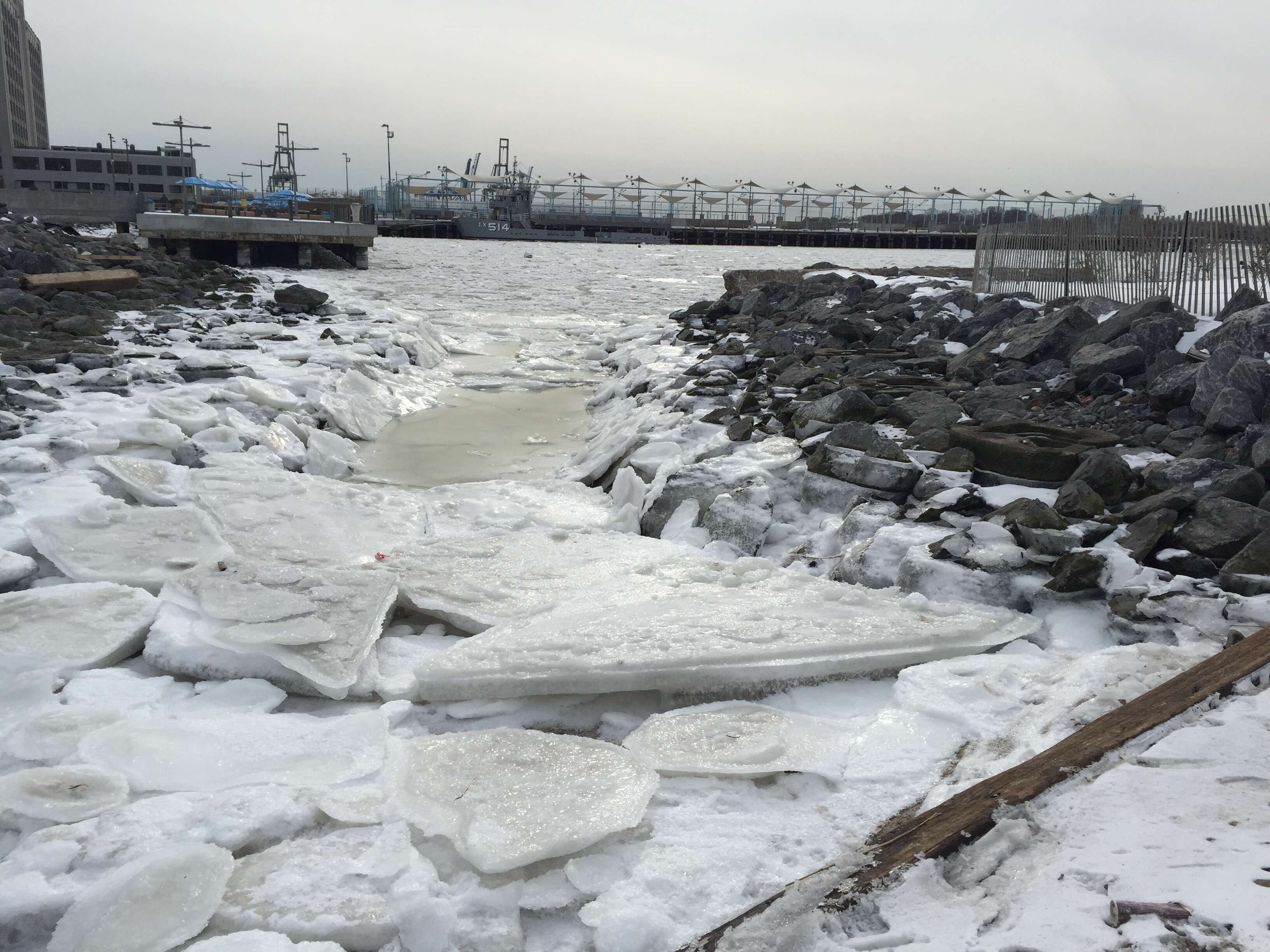 The East River is made of ice right now - Thrillist