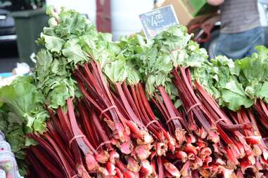 Rhubarb