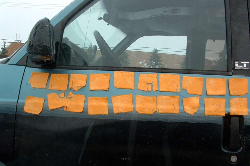 cheese on car window