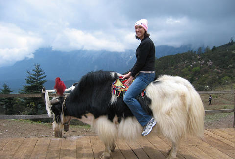 Ostriches Top Ranking Of Animals You Can Ride Around The World - Thrillist