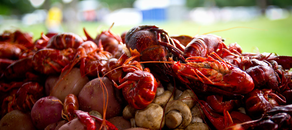 11 Things You Must Do in Houston This Spring