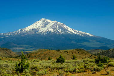 Things You Didn #39 t Know About Shasta Soda Thrillist Things You Didn #39 t Know About Shasta Soda Thrillist