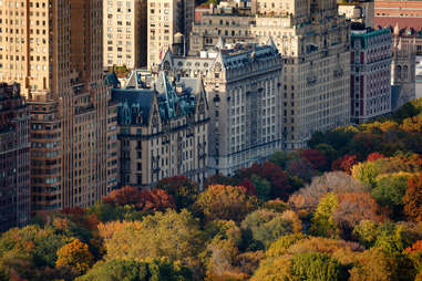 Central Park Weset 