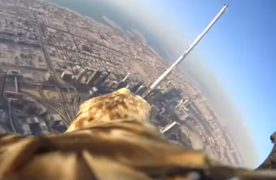 Eagle Flies From Burj Khalifa In Dubai With Camera Thrillist