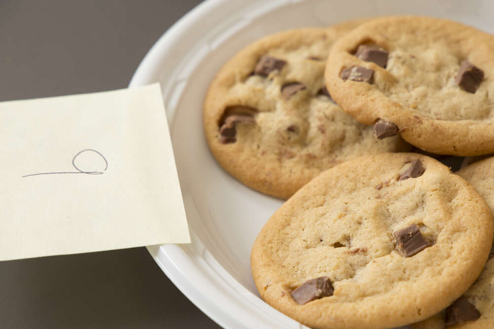 Chips Ahoy! Campaign Brings Back a Familiar (Chocolate-Chipped) Face - The  New York Times