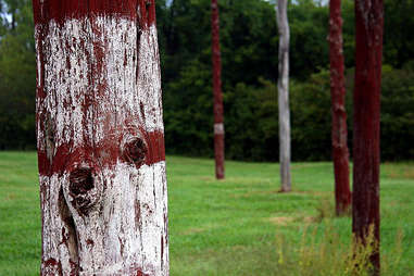 woodhenge